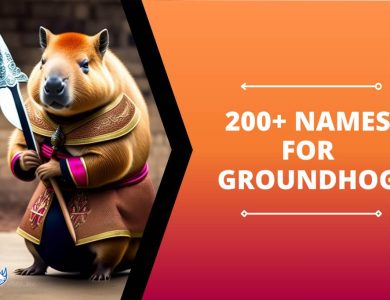 Names for Groundhog