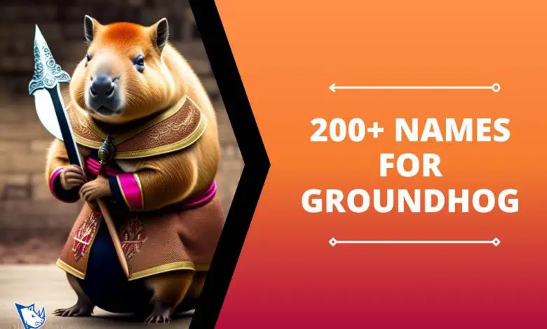 Names for Groundhog