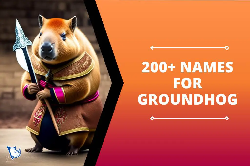 200+ Names for Groundhog With Meaning - NamesRhino