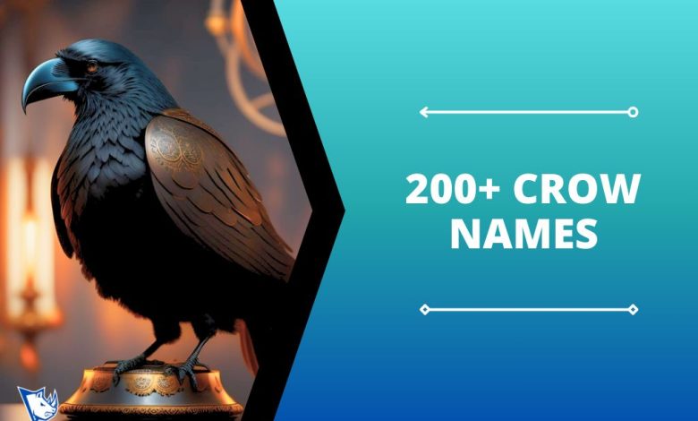 Crow Names