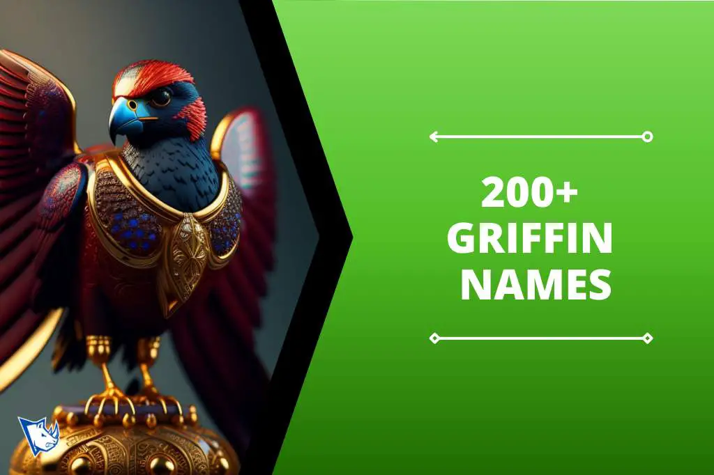 200+ Griffin Names With Origins & Meanings - NamesRhino