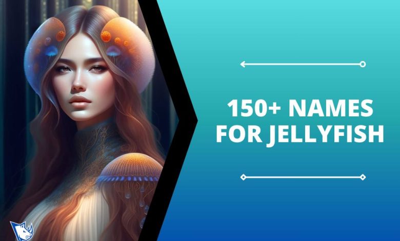 150+ Names For Jellyfish
