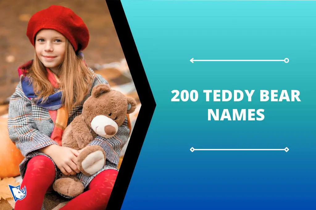 200 Best Teddy Bear Names Ideas - NamesRhino