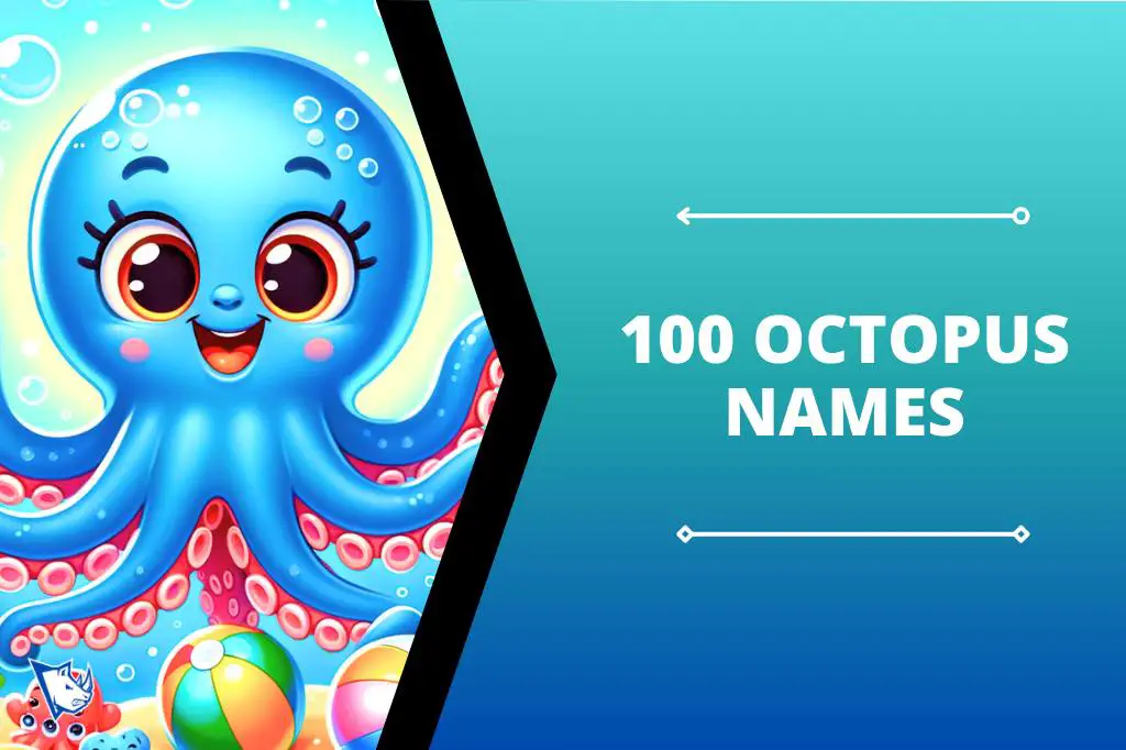 100 Octopus Names Awesome Ideas - NamesRhino