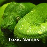 100 Toxic Names for Villains