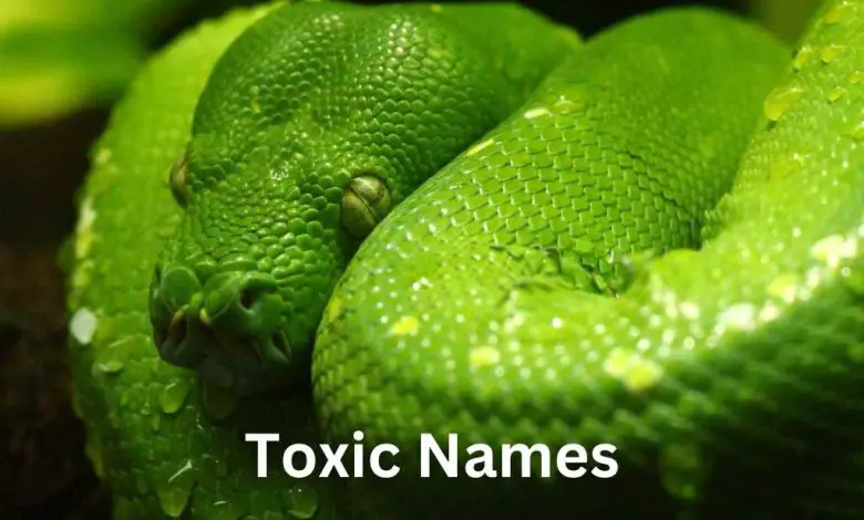 100 Toxic Names for Villains