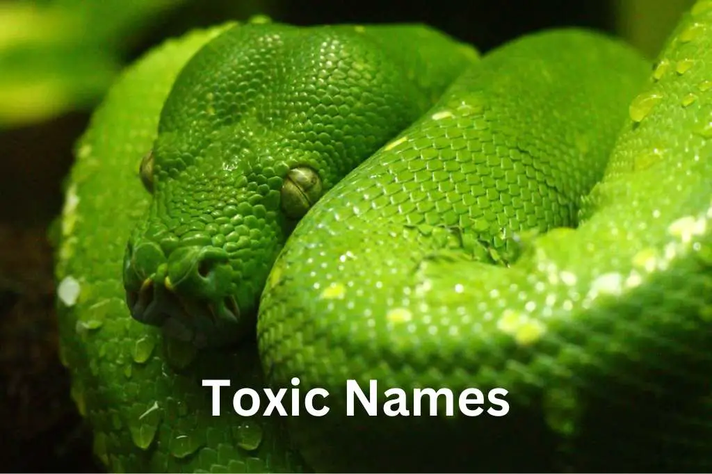 100 Toxic Names for Villains - NamesRhino