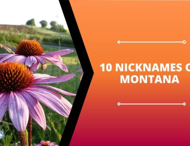 10 Nicknames of Montana