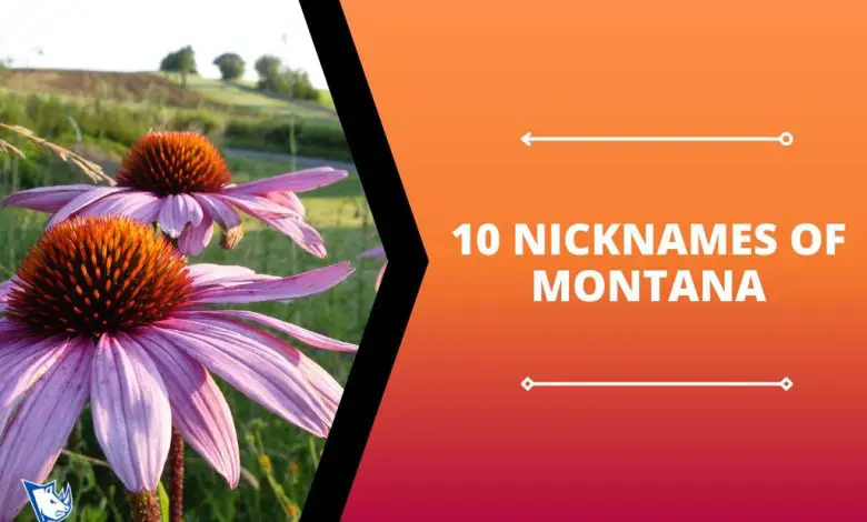 10 Nicknames of Montana