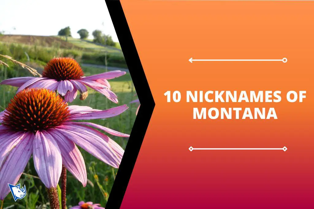 10 Nicknames of Montana That Define the Beautiful State